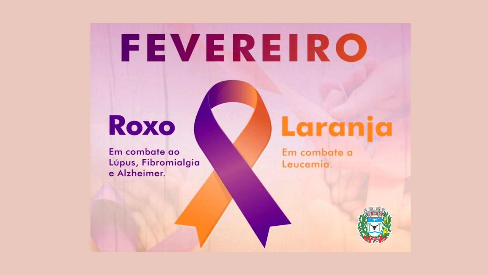 Fevereiro Roxo Laranja Prefeitura de Pinhão PR